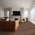 SHAW FLOORS - CARPET - TAILORED CRAFT - HEIRLOOM