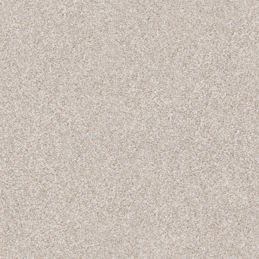 Shaw Floors - Carpet - Simply the Best Values Collection - Make It Mine II - 12' - Desert Light