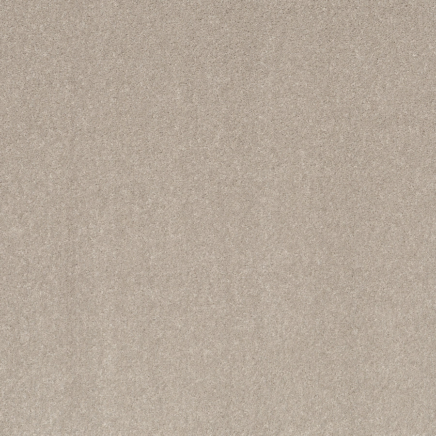 Shaw Floors - Carpet - Simply the Best Values Collection - Smooth Talk II - 12' - Bare Mineral