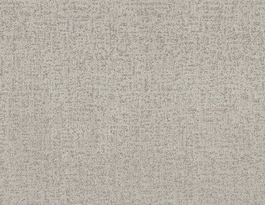 Shaw Floors - Carpet - Pet Perfect + Collection - Home Within - 12' - Frozen