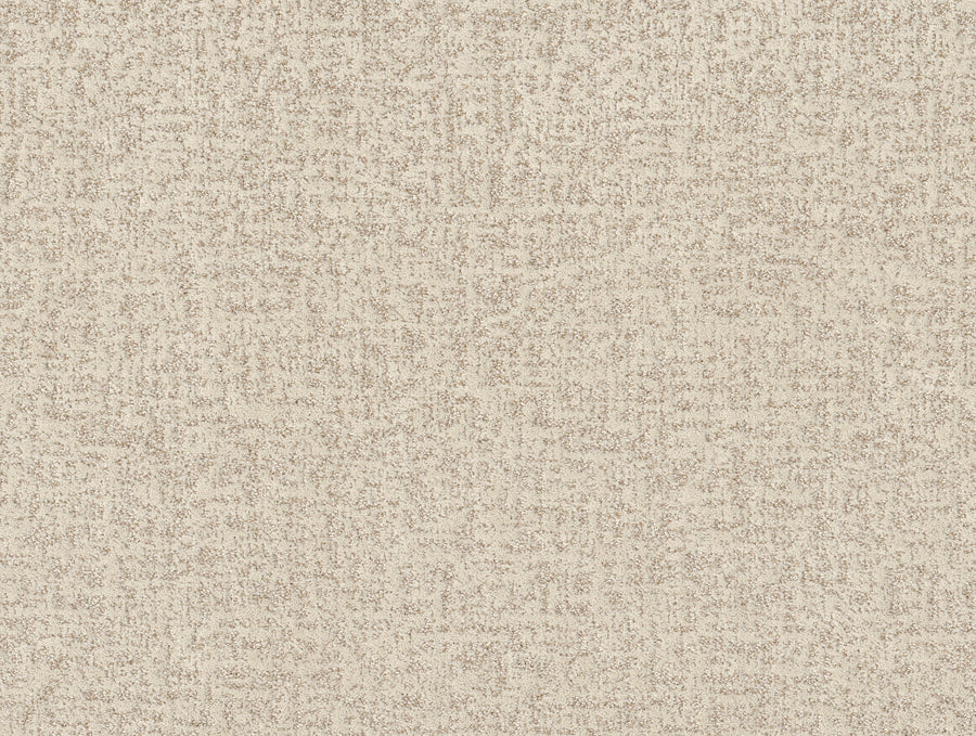 Shaw Floors - Carpet - Pet Perfect + Collection - Home Within - 12' - Natural