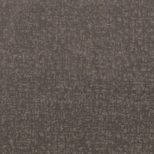 Shaw Floors - Carpet - Pet Perfect + Collection - Home Within - 12' - Ashes