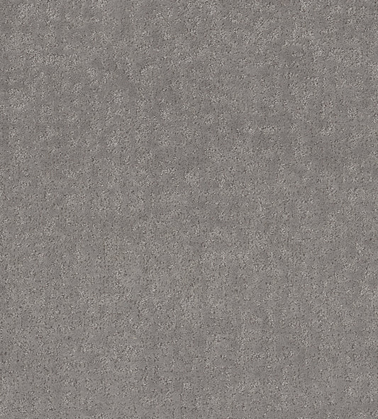 Shaw Floors - Carpet - Pet Perfect + Collection - Home Within - 12' - Vintage