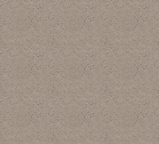 Shaw Floors - Carpet - Pet Perfect + Collection - Light Impressions - 12' - Chic Greige