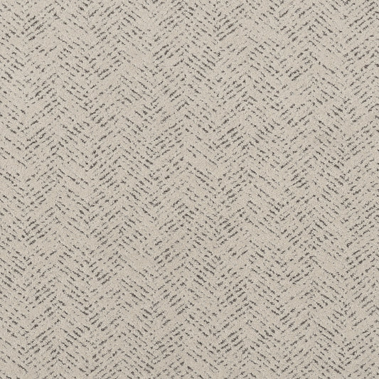 Shaw Floors - Carpet - Pet Perfect™ Collection Collection - Favoured Path - 12' - Marble