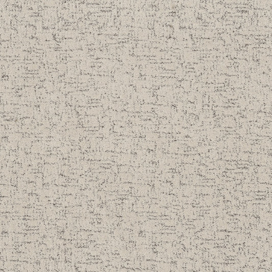 Shaw Floors - Carpet - Pet Perfect Collection - Run Free - 12' - Marble