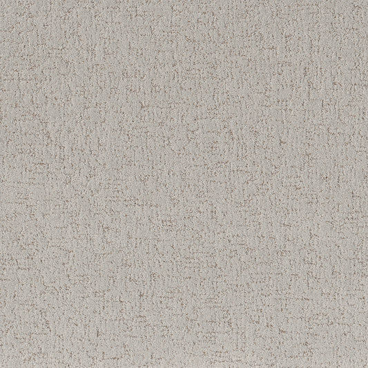 Shaw Floors - Carpet - Pet Perfect Collection - Run Free - 12' - Cashmere