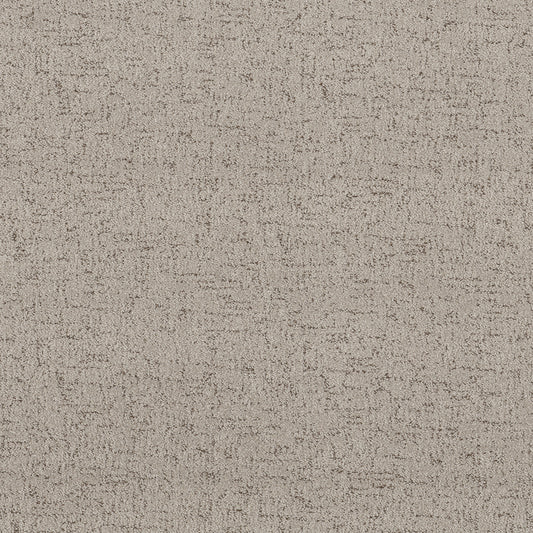 Shaw Floors - Carpet - Pet Perfect Collection - Run Free - 12' - River Birch
