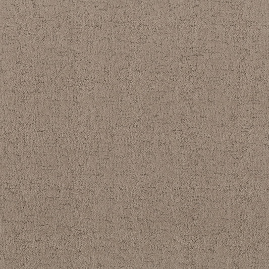 Shaw Floors - Carpet - Pet Perfect Collection - Run Free - 12' - Cameo