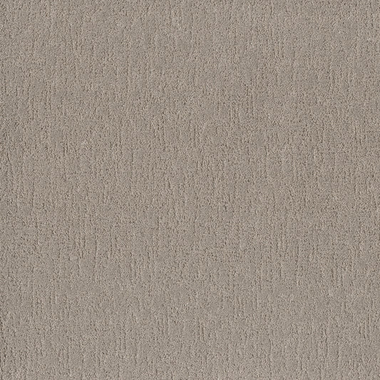 Shaw Floors - Carpet - Pet Perfect Collection - Run Free - 12' - Sculpture