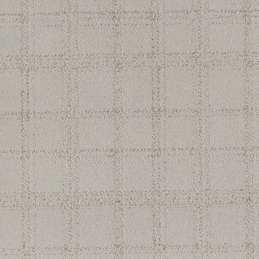 Shaw Floors - Carpet - Pet Perfect Collection - Natural Calm - 12' - Cashmere