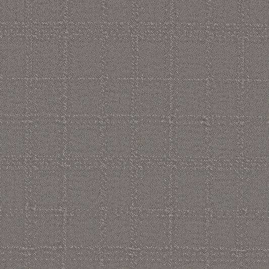 Shaw Floors - Carpet - Pet Perfect Collection - Natural Calm - 12' - Vintage