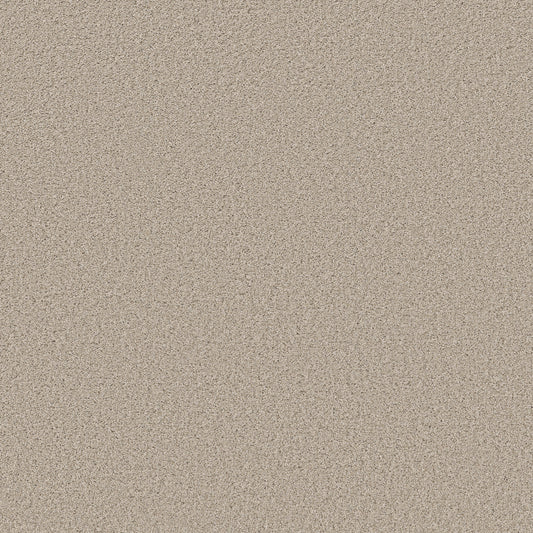Shaw Floors - Carpet - Simply the Best Values Collection - Trusolutions I - 12' - Sugar Cookie