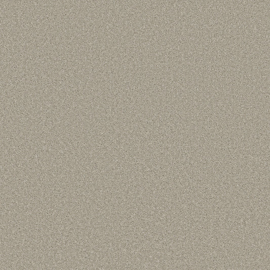 Shaw Floors - Carpet - Simply the Best Values Collection - Trusolutions I - 12' - Bleached Oak
