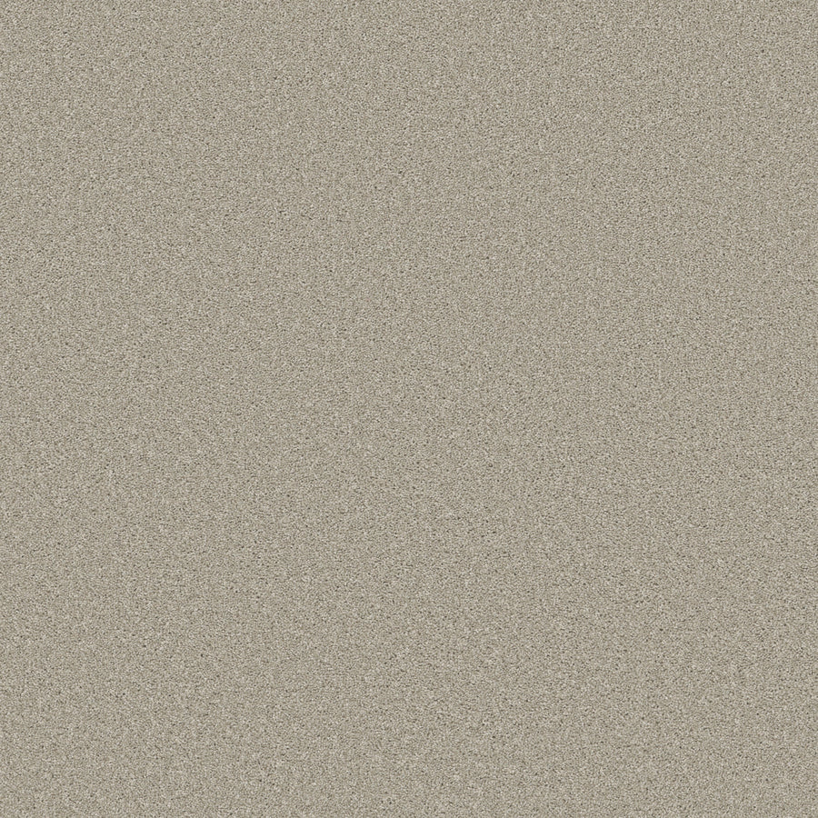 Shaw Floors - Carpet - Simply the Best Values Collection - Trusolutions I - 12' - Bleached Oak