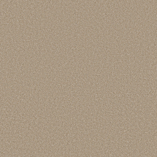 Shaw Floors - Carpet - Simply the Best Values Collection - Trusolutions I - 12' - Sheer Natural