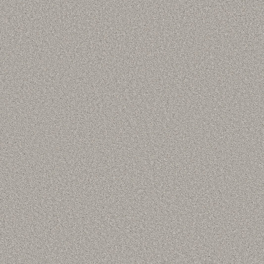 Shaw Floors - Carpet - Simply the Best Values Collection - Trusolutions I - 12' - Clear Sky