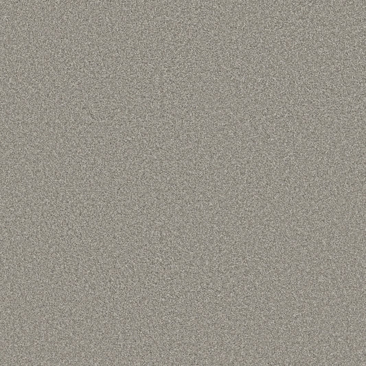 Shaw Floors - Carpet - Simply the Best Values Collection - Trusolutions I - 12' - Concrete
