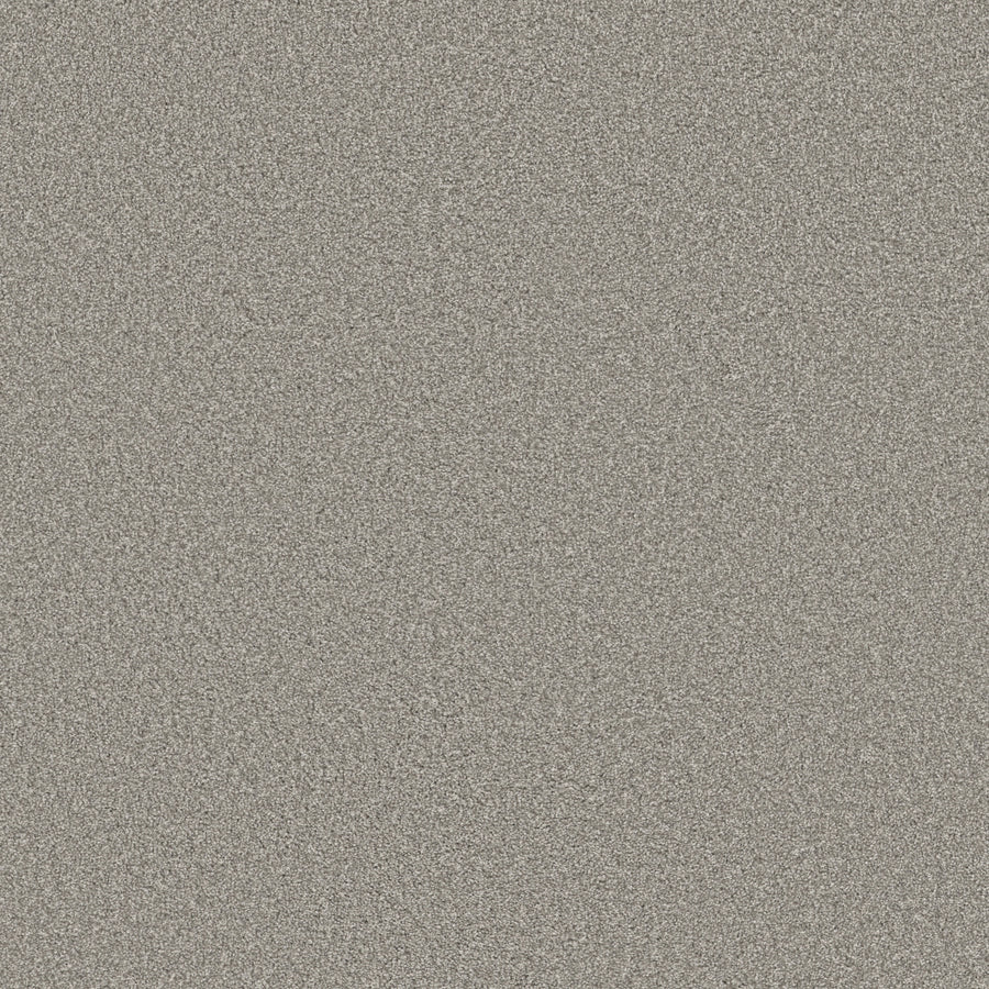 Shaw Floors - Carpet - Simply the Best Values Collection - Trusolutions I - 12' - Concrete