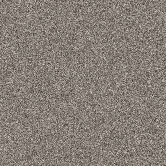 Shaw Floors - Carpet - Simply the Best Values Collection - Trusolutions I - 12' - Tree Bark