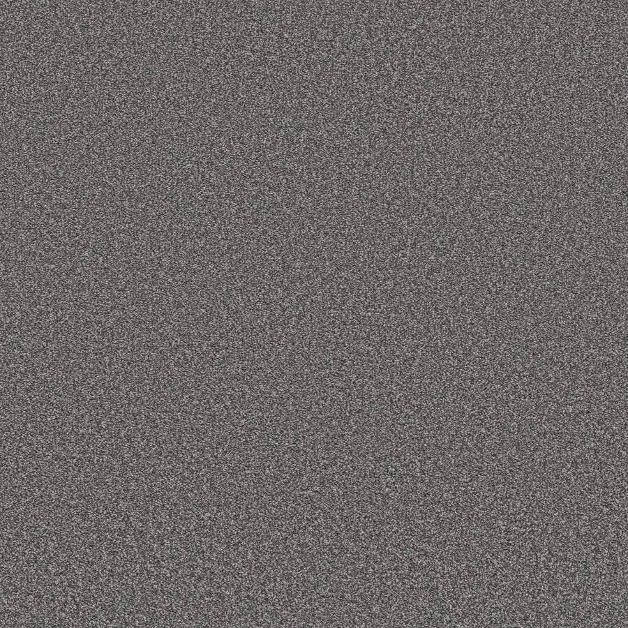 Shaw Floors - Carpet - Simply the Best Values Collection - Trusolutions I - 12' - Mercury