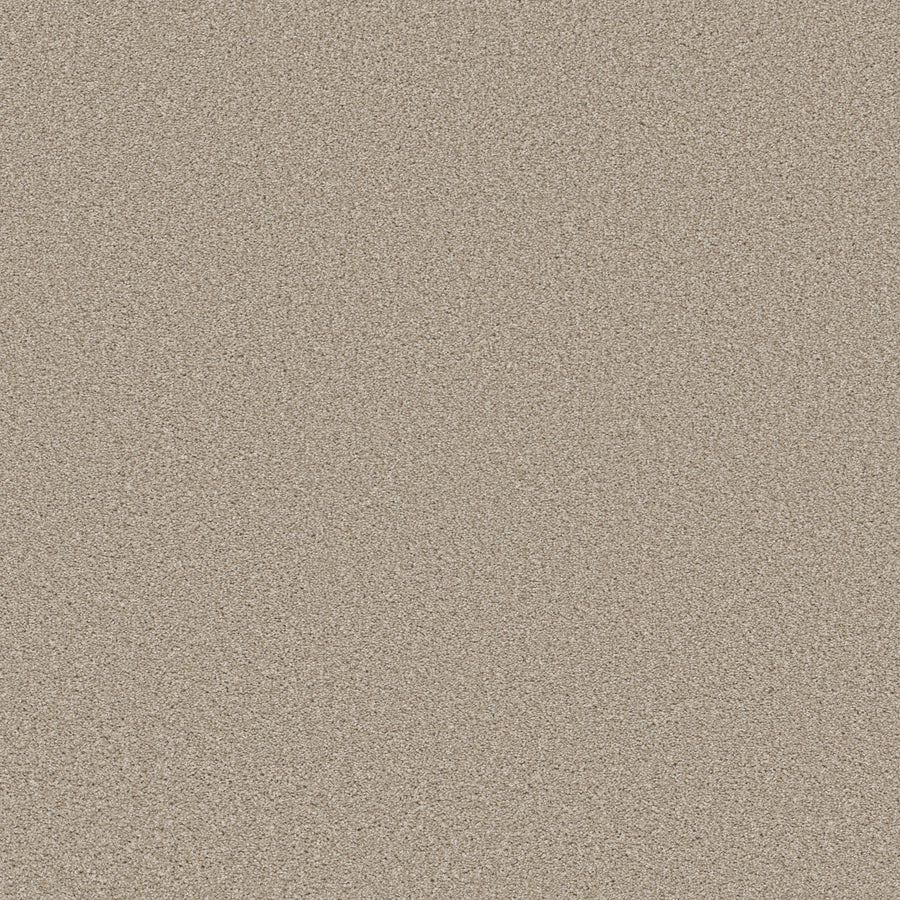 Shaw Floors - Carpet - Simply the Best Values Collection - Trusolutions II - 12' - Sand