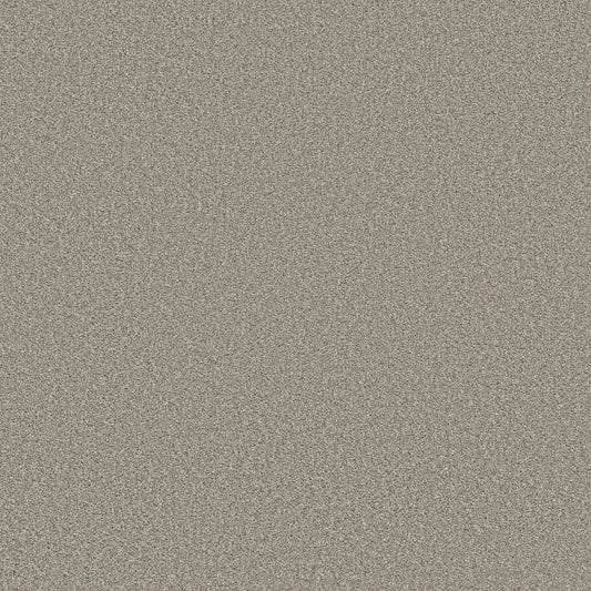 Shaw Floors - Carpet - Simply the Best Values Collection - Trusolutions II - 12' - Stone Path