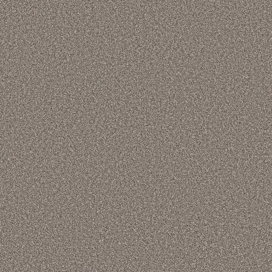 Shaw Floors - Carpet - Simply the Best Values Collection - Trusolutions II - 12' - Tree Bark