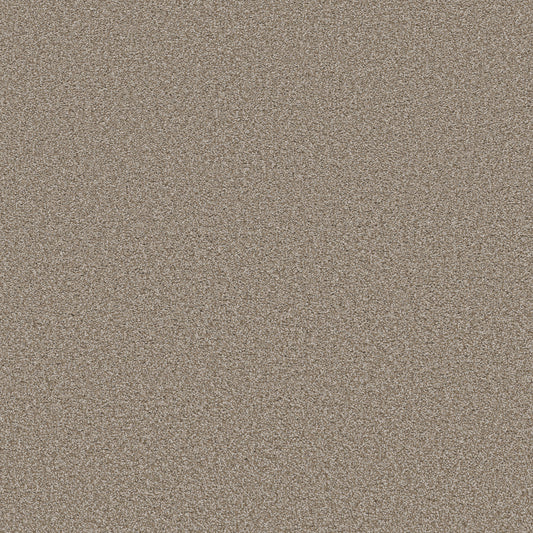 Shaw Floors - Carpet - Simply the Best Values Collection - Trusolutions II - 12' - Beach Cabana