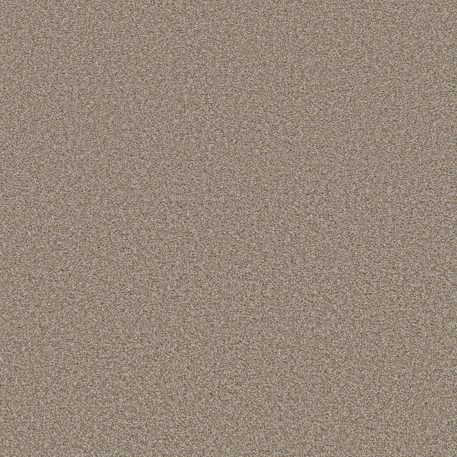 Shaw Floors - Carpet - Simply the Best Values Collection - Trusolutions II - 12' - Beach Cabana