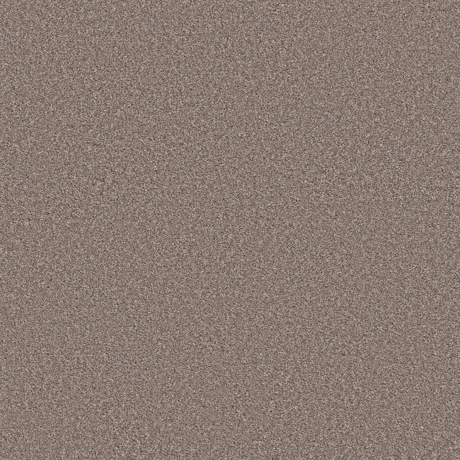 Shaw Floors - Carpet - Simply the Best Values Collection - Trusolutions II - 12' - Taupe Dream