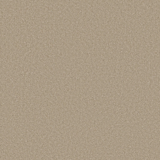 Shaw Floors - Carpet - Simply the Best Values Collection - Well Made - 12' - Agate