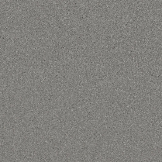 Shaw Floors - Carpet - Simply the Best Values Collection - Well Made - 12' - Nickel