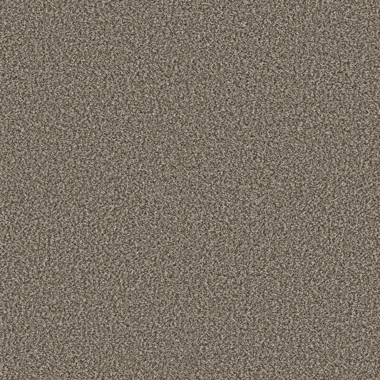 Shaw Floors - Carpet - Pet Perfect + Collection - Renewed Energy I - 12' - Countryside
