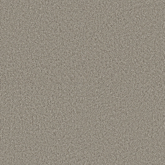 Shaw Floors - Carpet - Pet Perfect + Collection - Renewed Energy I - 12' - Landscape