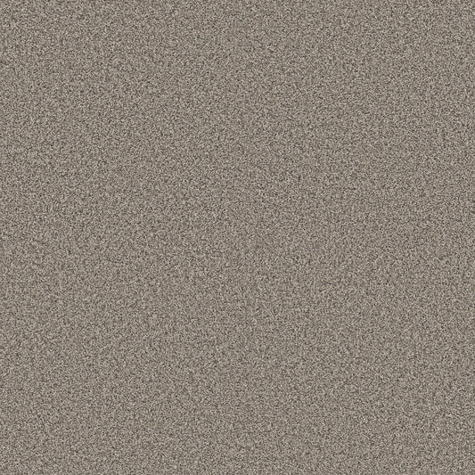 Shaw Floors - Carpet - Pet Perfect + Collection - Renewed Energy I - 12' - Prairie Run