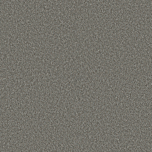 Shaw Floors - Carpet - Pet Perfect + Collection - Renewed Energy I - 12' - Paris Sky
