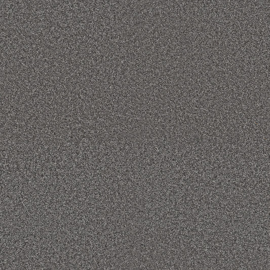 Shaw Floors - Carpet - Pet Perfect + Collection - Renewed Energy I - 12' - River Rock