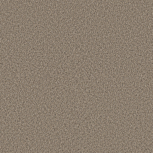 Shaw Floors - Carpet - Pet Perfect + Collection - Renewed Energy I - 12' - Khaki