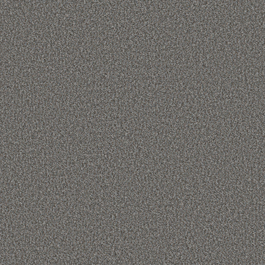 Shaw Floors - Carpet - Pet Perfect + Collection - Renewed Energy II - 12' - Paris Sky