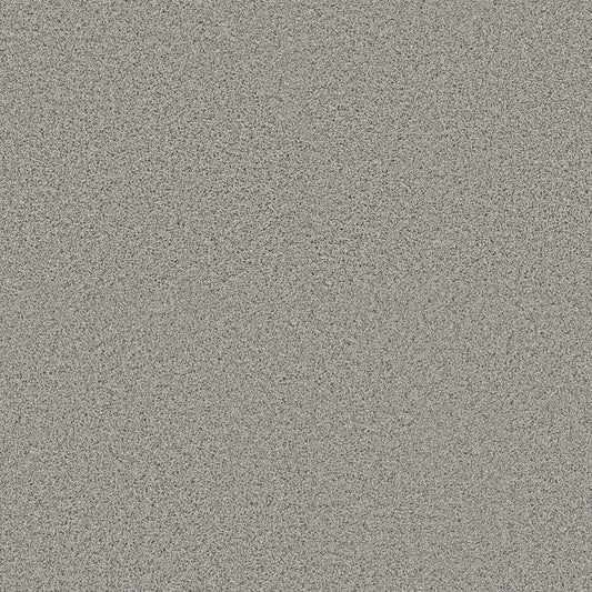 Shaw Floors - Carpet - Pet Perfect + Collection - Renewed Energy II - 12' - Thin Ice