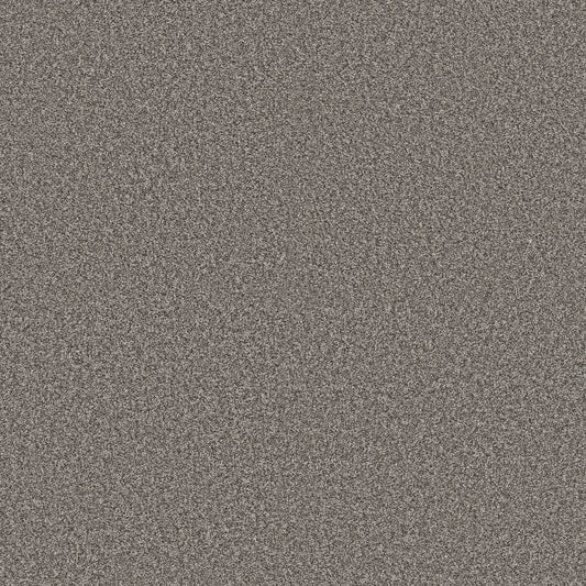 Shaw Floors - Carpet - Pet Perfect + Collection - Renewed Energy II - 12' - Cityscape