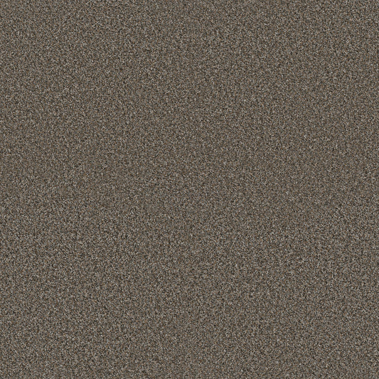 Shaw Floors - Carpet - Pet Perfect + Collection - Renewed Energy II - 12' - Mineral Bed