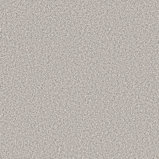 Shaw Floors - Carpet - Pet Perfect Collection - Remixed Classic - 12' - Silver Lining