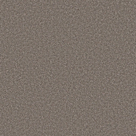 Shaw Floors - Carpet - Pet Perfect Collection - Remixed Classic - 12' - Nature Trail
