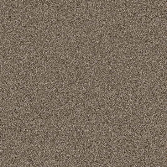 Shaw Floors - Carpet - Pet Perfect Collection - Remixed Classic - 12' - Dry Creek
