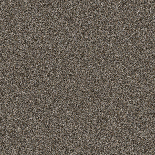 Shaw Floors - Carpet - Pet Perfect Collection - Remixed Classic - 12' - Rock Garden