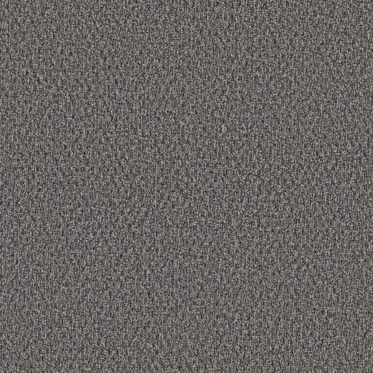 Shaw Floors - Carpet - Simply the Best Values Collection - Stonebrook - 12' - Night Fall