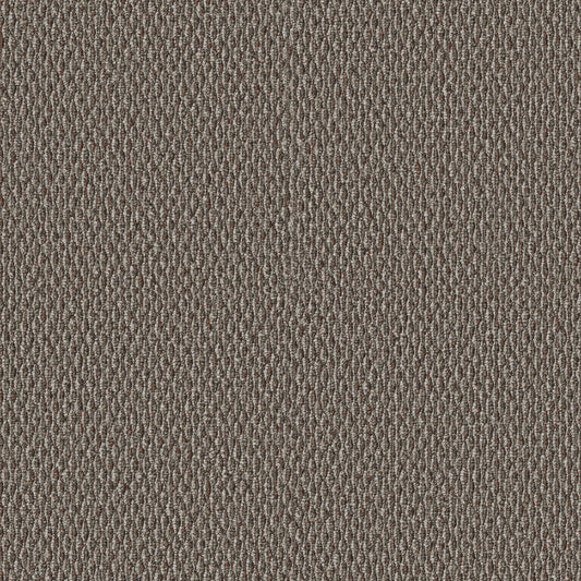 Shaw Floors - Carpet - Simply the Best Values Collection - Stonebrook - 12' - Outer Banks