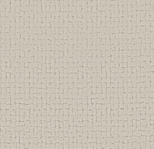 Shaw Floors - Carpet - Pet Perfect + Collection - Block Party - 12' - Almond Silk